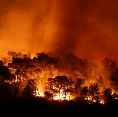 C:\Users\Utilisateur\Documents\LDL-NEWSLETTERS\NL 150\france fires.jpg
